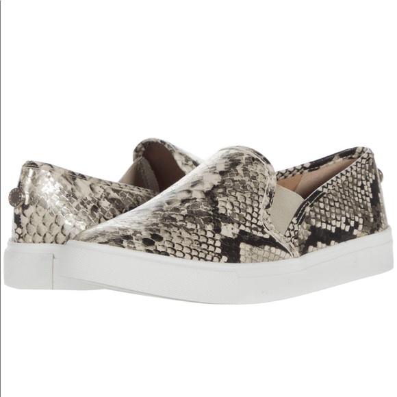 steve madden snake sneakers
